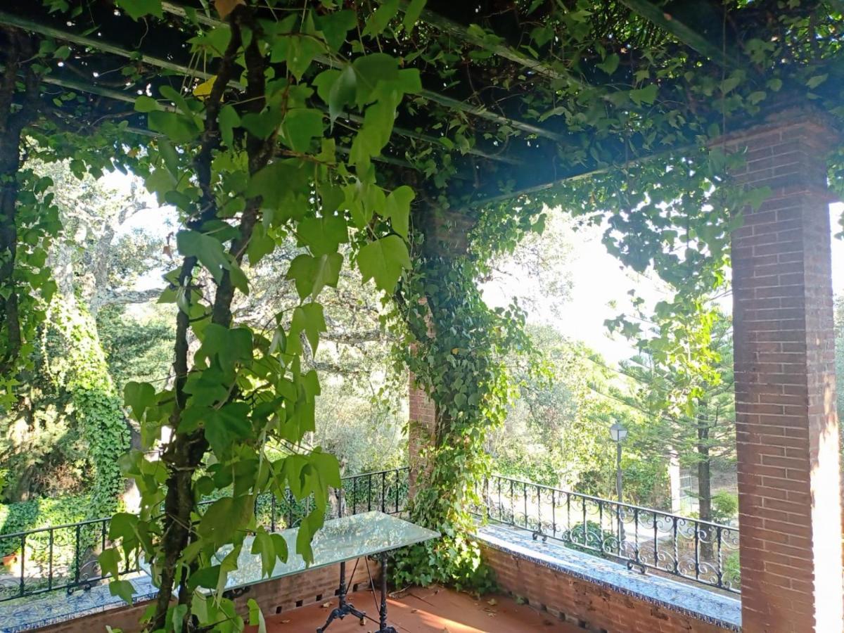 Chalet Aracenilla 7
